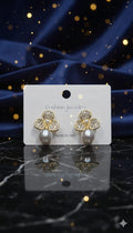 Earrings-EA2213