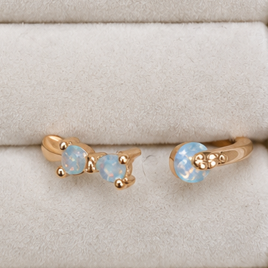 Ring-RA1211