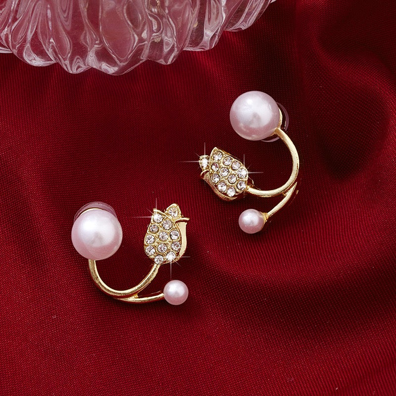 Earring-EA1006