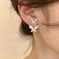 Earring-EA1012