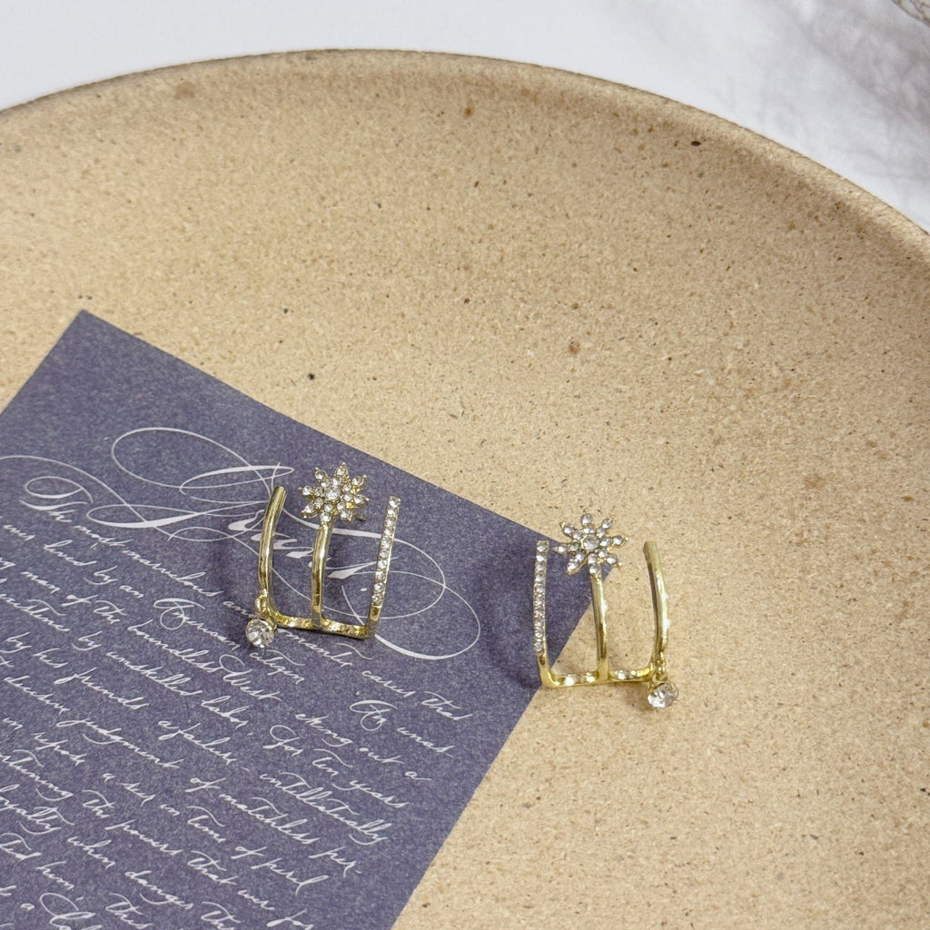 Earring-EA1051