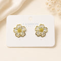 Earring-EA1084