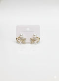 Earring-EA1139