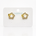 Earring-EA1255