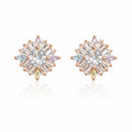 Earring-EA1287