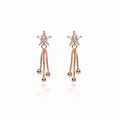 Earring-EA1307