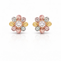 Earring-EA1320