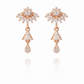 Earring-EA1323