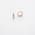 Earring-EA1334