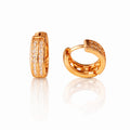 Earring-EA1345