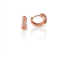 Earring-EA1348
