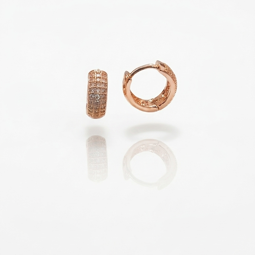 Earring-EA1354