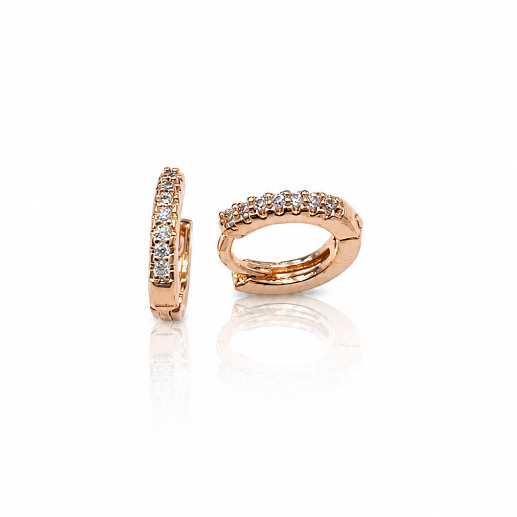 Earring-EA1367
