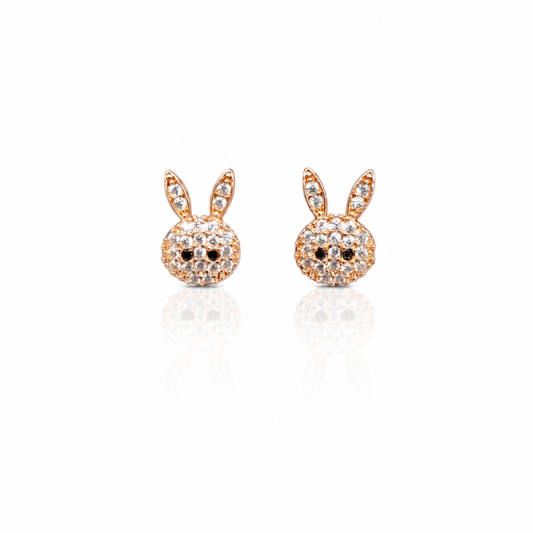 Earring-EA1376