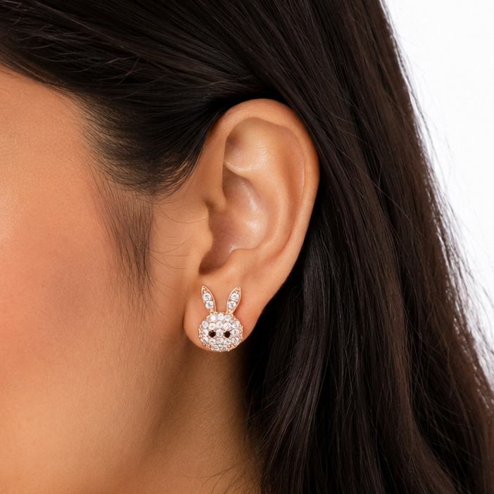 Earring-EA1376