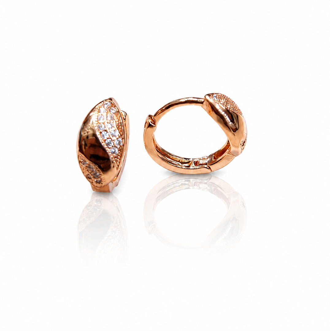 Earring-EA1378