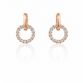 Earring-EA1381