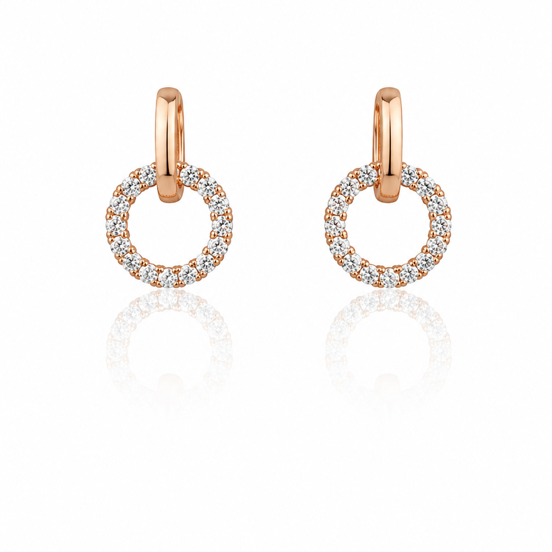Earring-EA1381