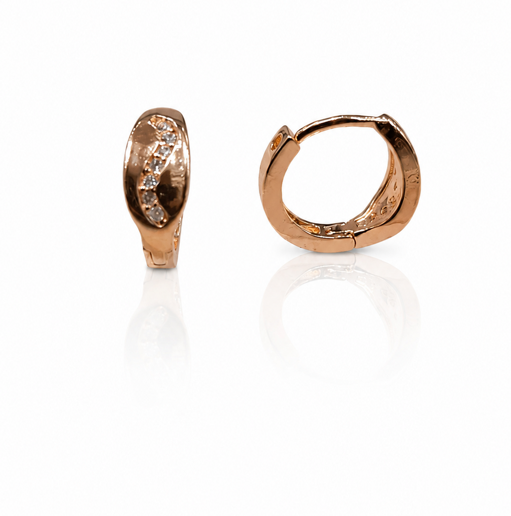 Earring-EA1383