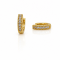 Earring-EA1384