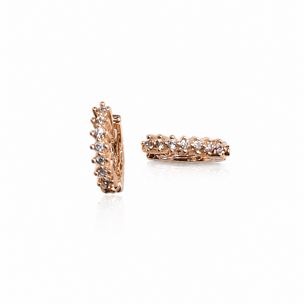 Earring-EA1385