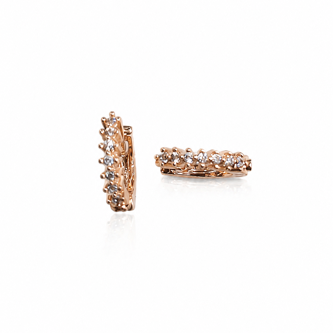 Earring-EA1385