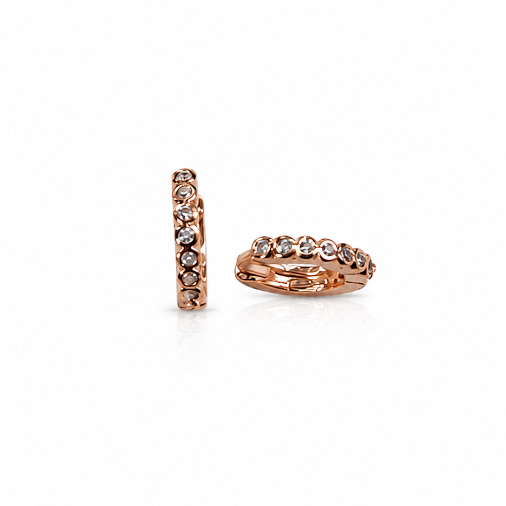 Earring-EA1386