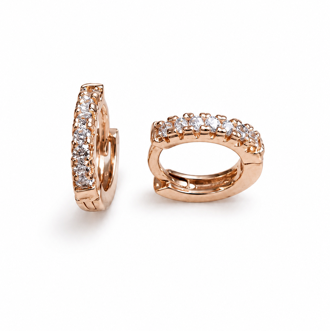 Earring-EA1388
