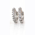 Earring-EA1389