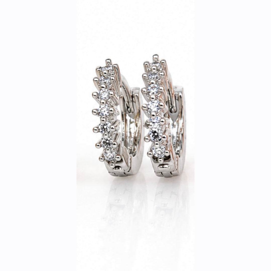 Earring-EA1389