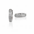 Earring-EA1390