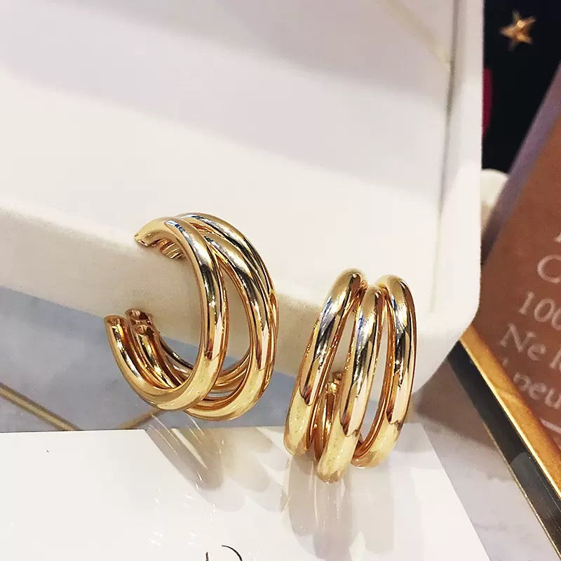 Earrings-EA1008