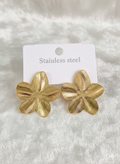 Earrings-EA1829