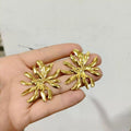 Earrings-EA1837