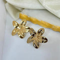 Earrings-EA1847