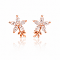 Earrings-EA1905
