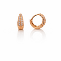 Earrings-EA2029