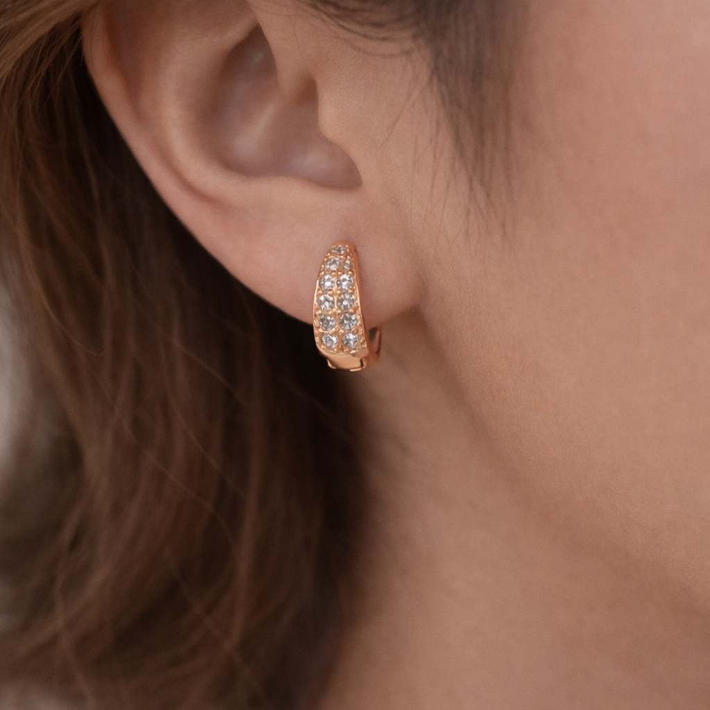 Earrings-EA2029