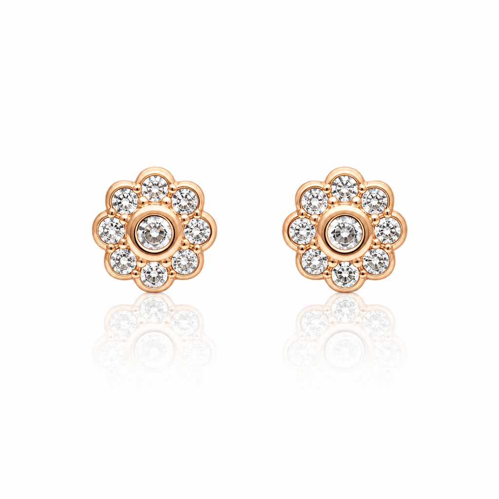 Earrings-EA2046
