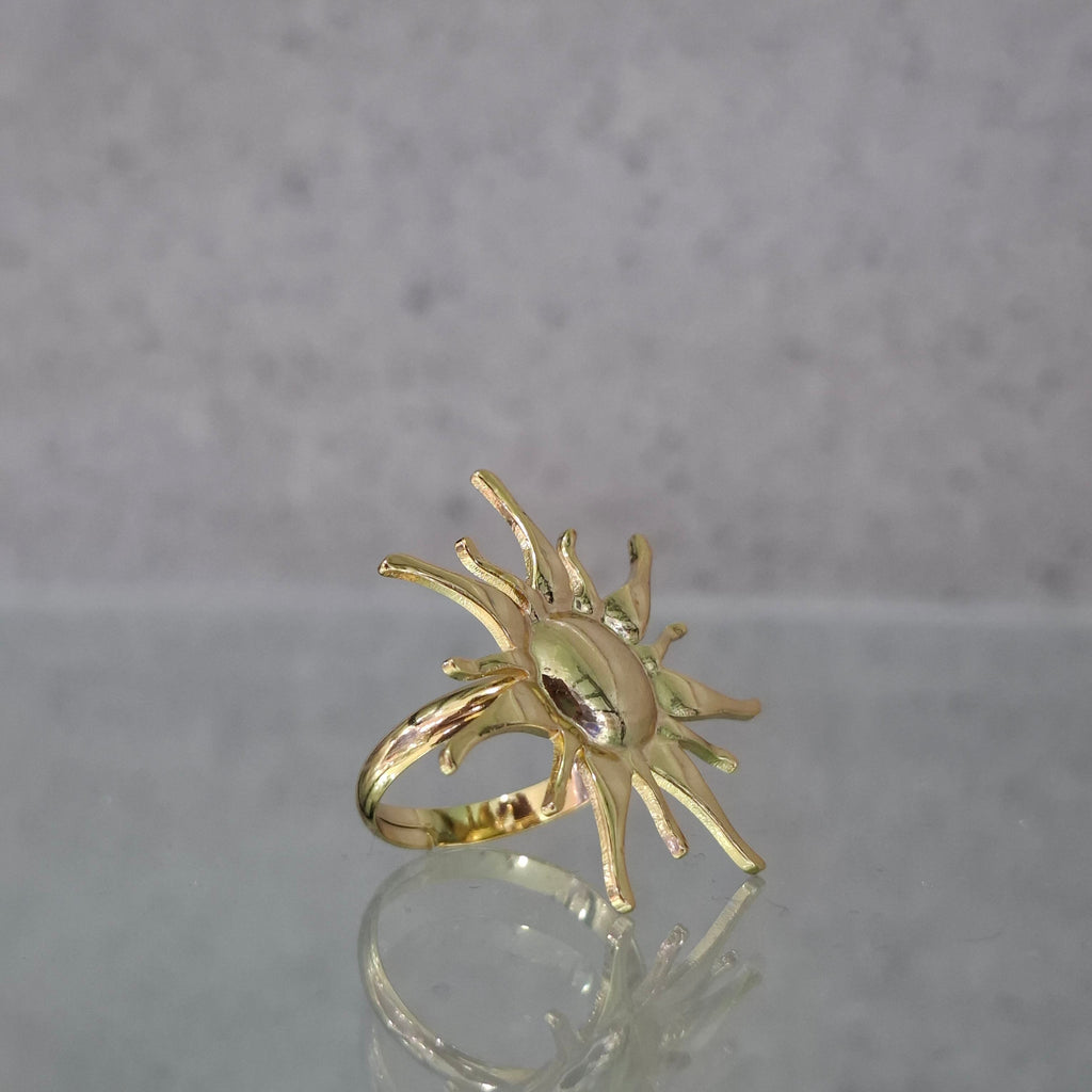 Ring-RI1053