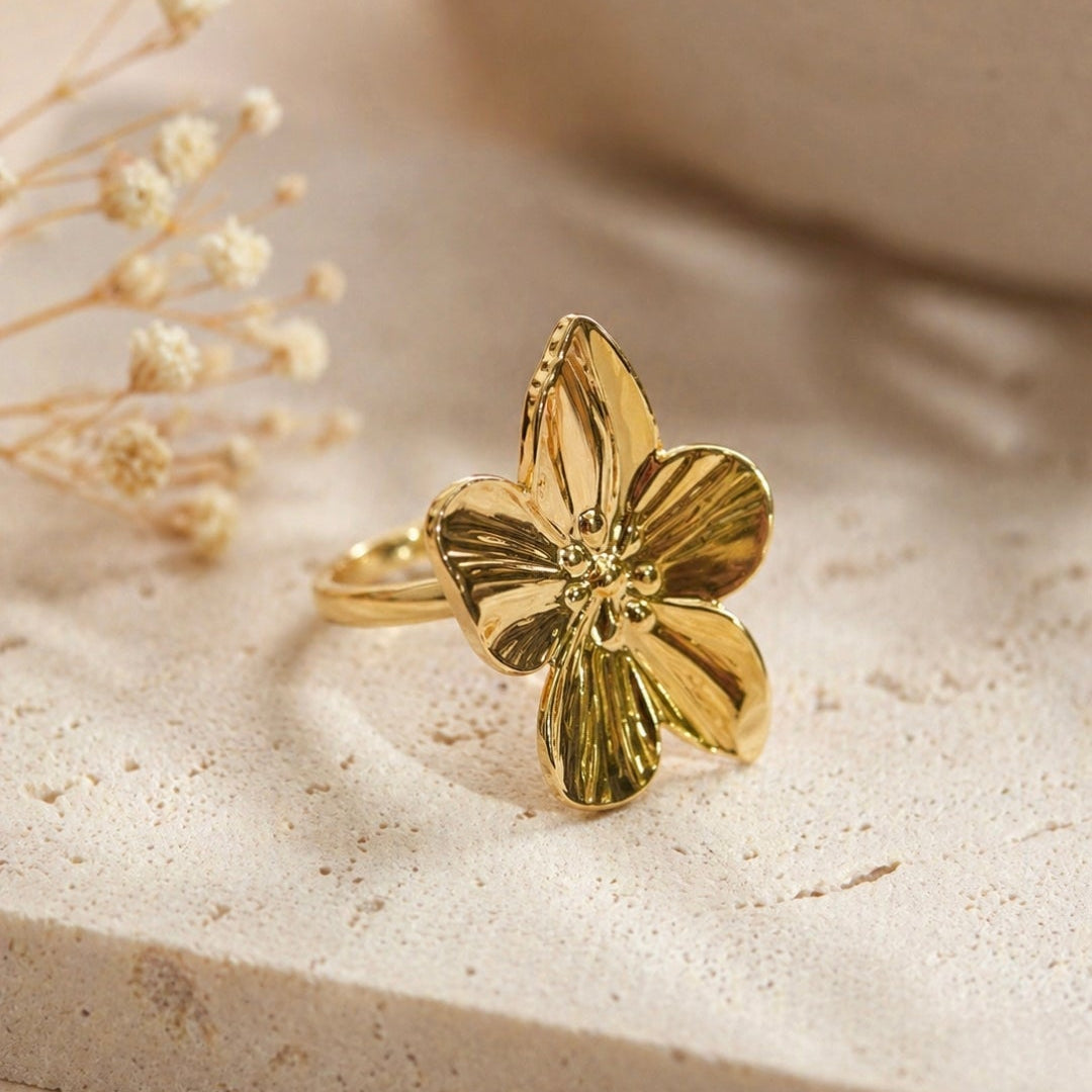 Ring-RI1060