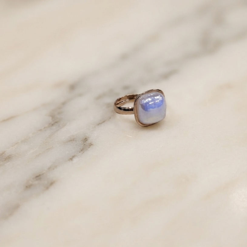 Ring-RI1090