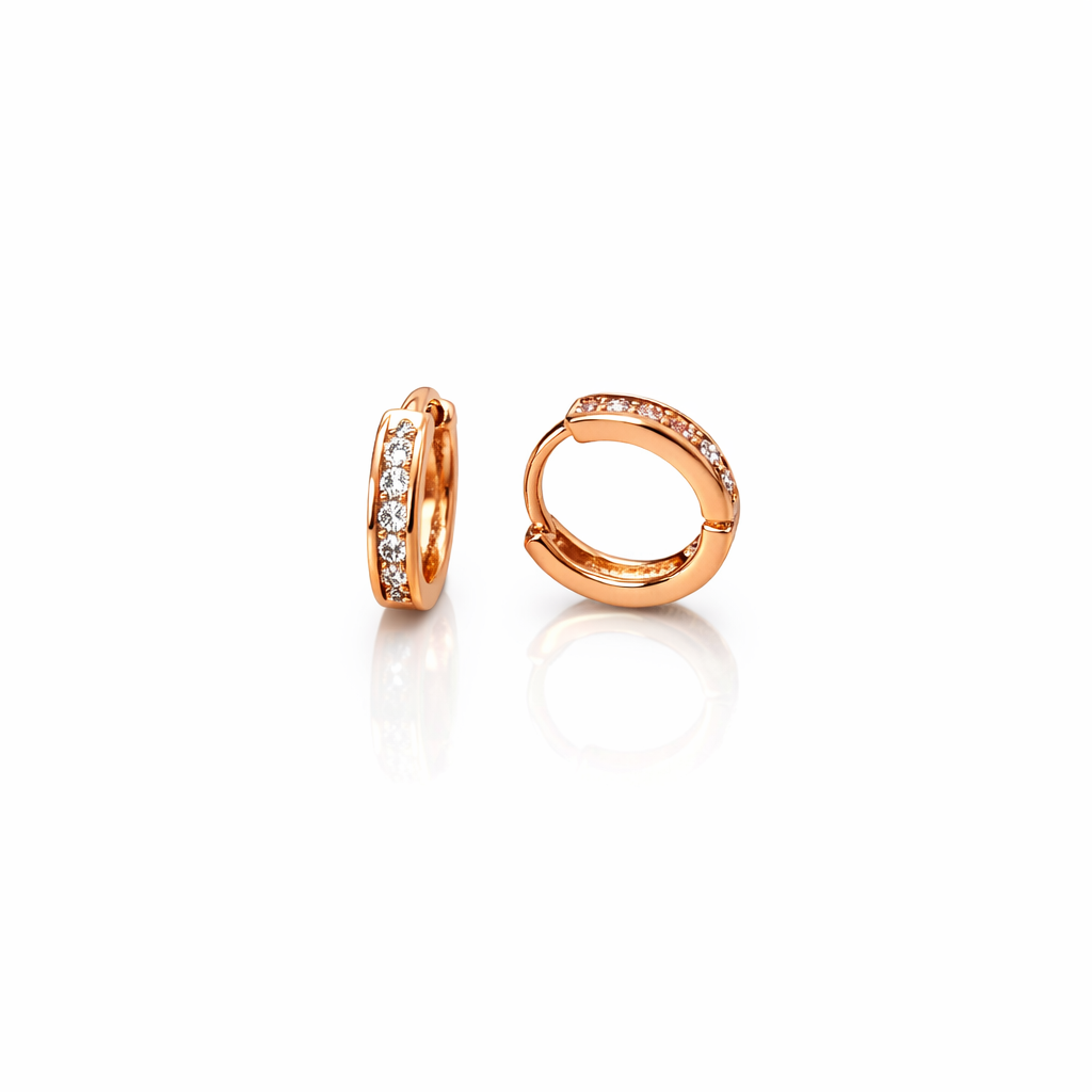 Earrings-EA1324