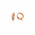 Earrings-EA1324