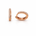 Earrings-EA1272