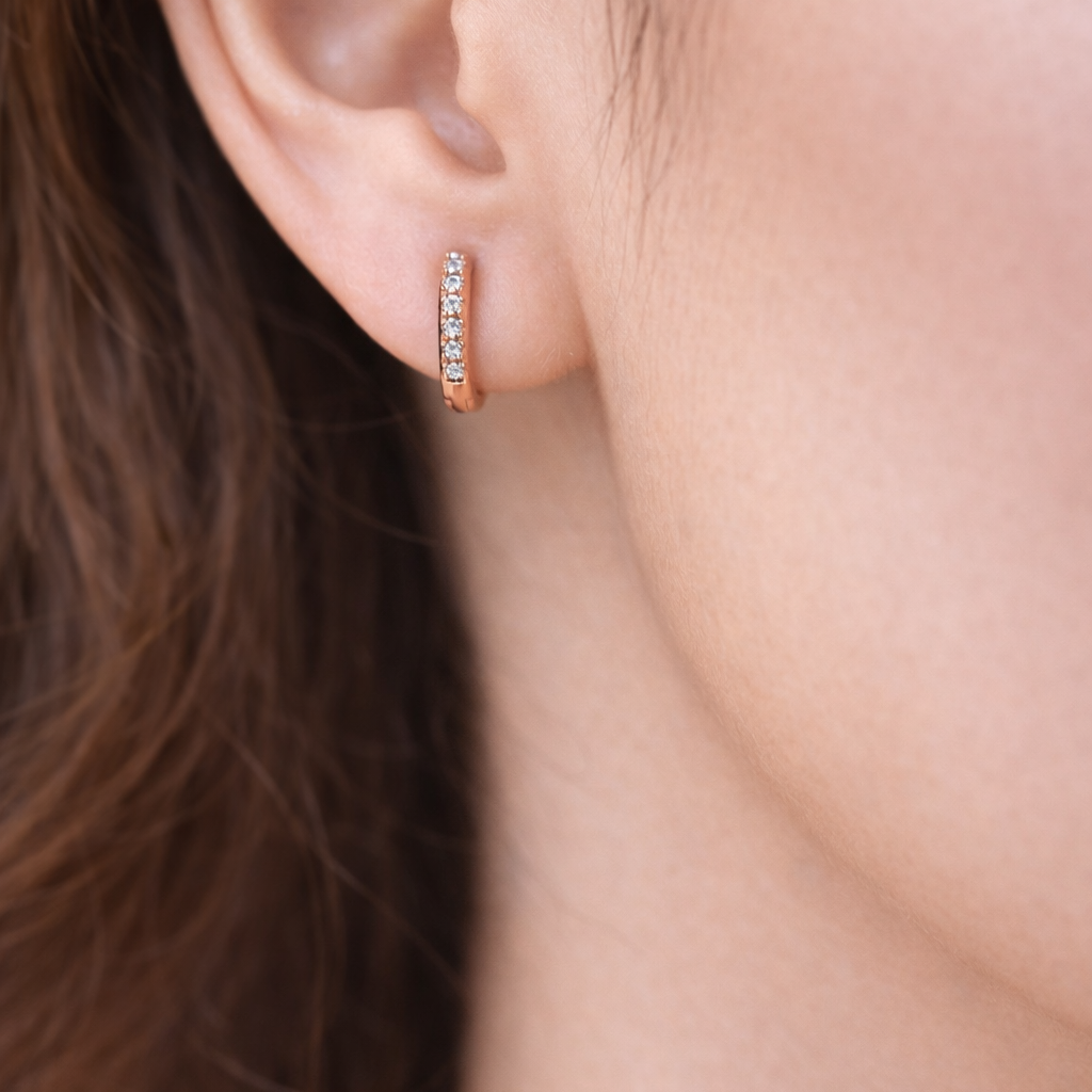 Earrings-EA1272