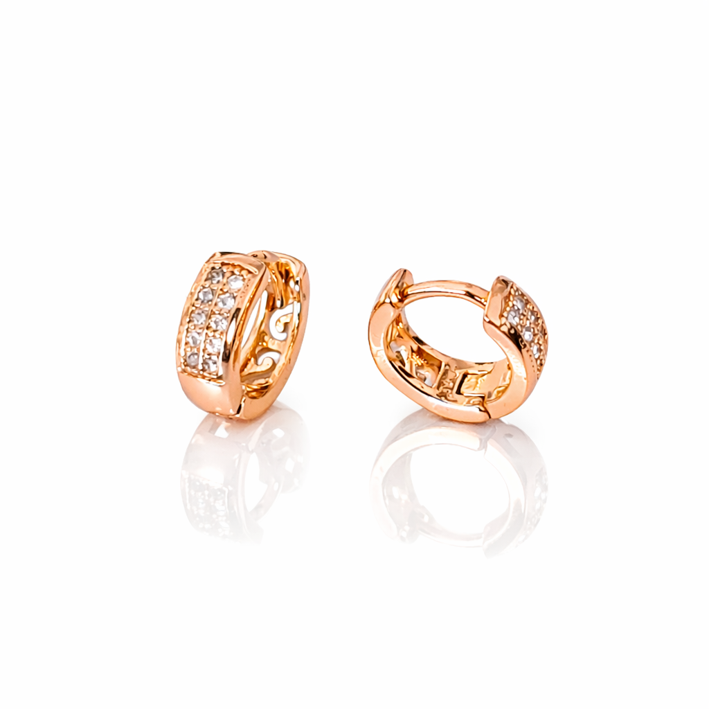 Earrings-EA1338