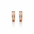 Earrings-EA1317