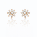 Earrings-EA1371