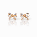 Earrings-EA1321